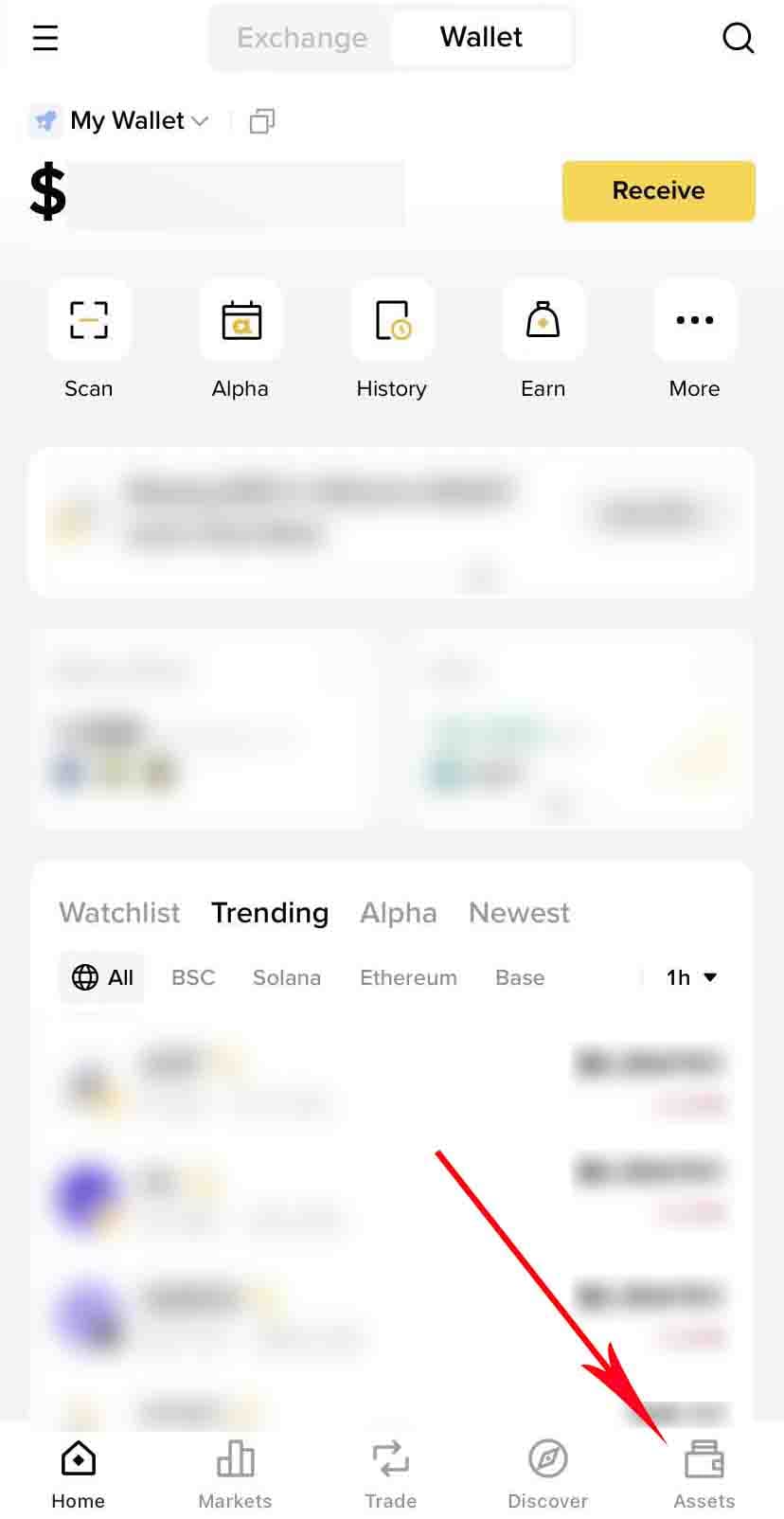 Step 1: open wallet assets
