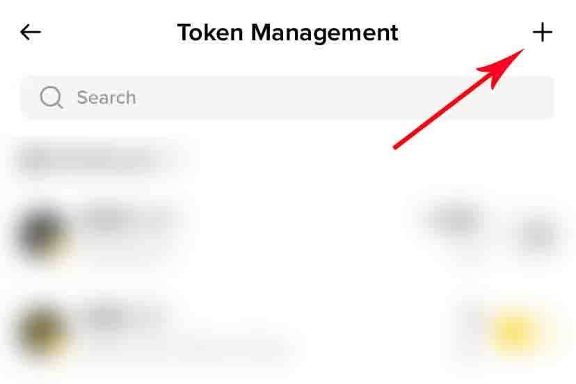 Step 3: add custom token